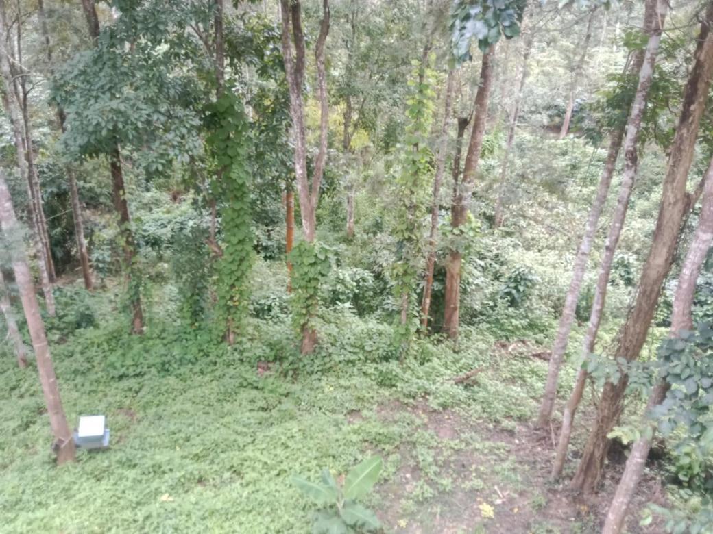 SuntikoppaElephant Path Coorg 3Bhk别墅 外观 照片